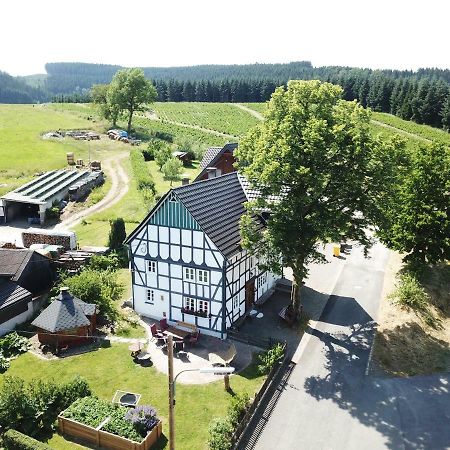 Villa Ortmanns Eulennest Finnentrop Exterior foto