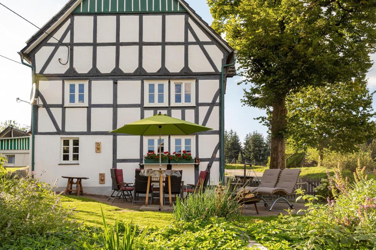Villa Ortmanns Eulennest Finnentrop Exterior foto